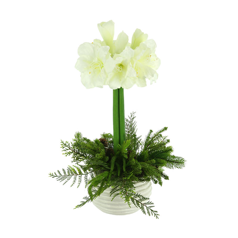 Centre de table Amaryllis Holiday dans un vase en céramique