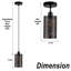 Mini luminaire suspendu industriel noir (D4,72 po)