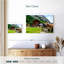 Brampt Karwendel Cows-107830888