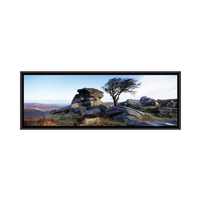 «Panoramic Bare Tree Near Rocks, Haytor Rocks, Dartmoor, Devon, England» par Panoramic Images - Impression sur toile tendue sur châssis