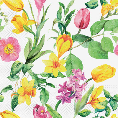 Serviettes jetables en papier Basic