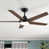 Black with Brown Blades