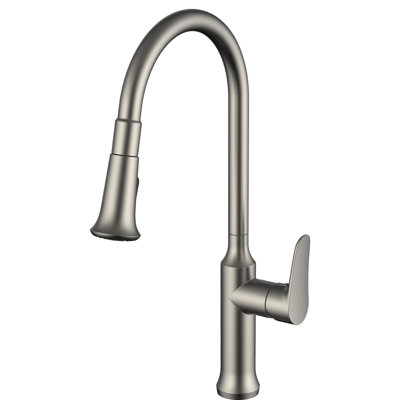 Daweier Pull Out Kitchen Faucet
