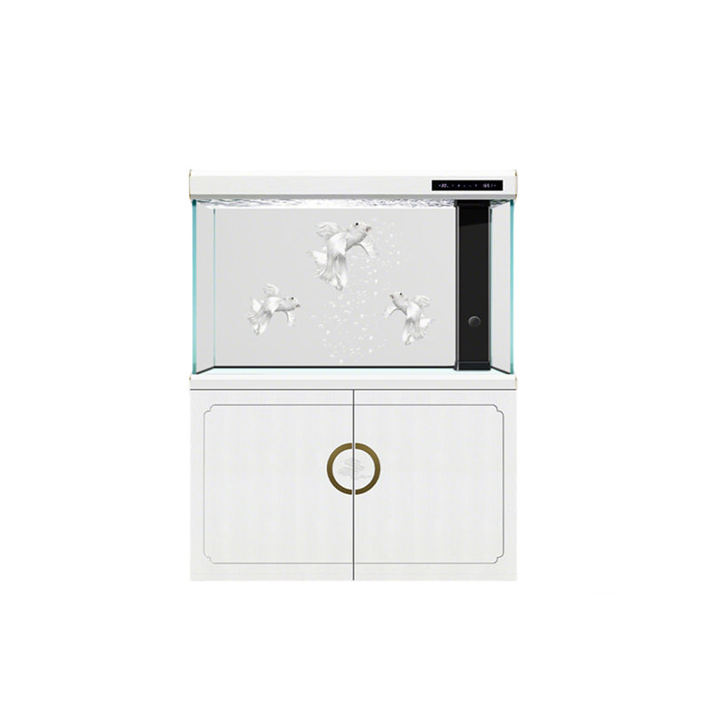 Grand aquarium 23,62 po
