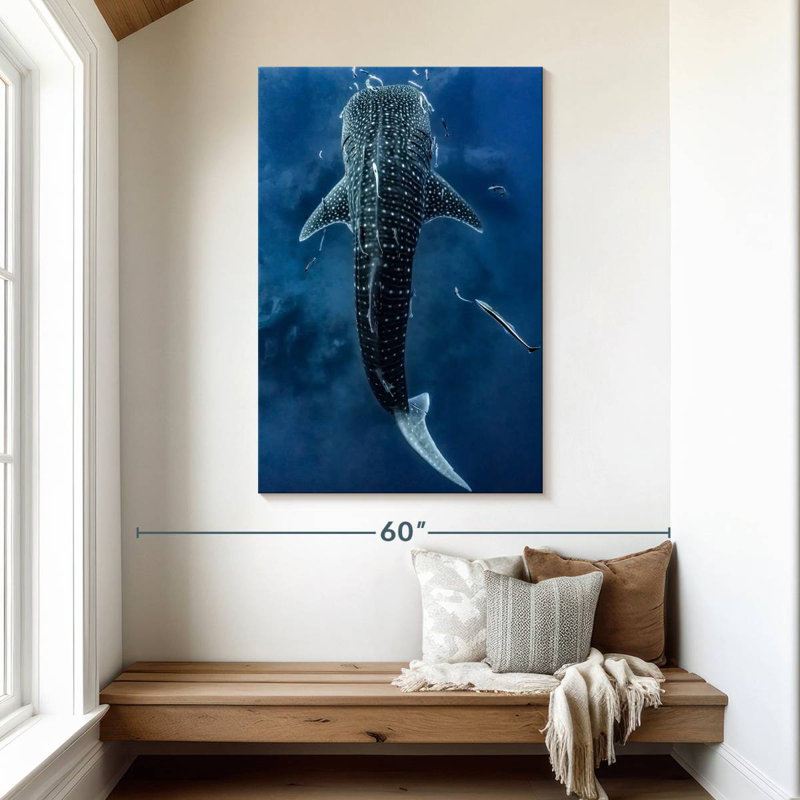 Brampt Spotted Whale Shark, 48" H x 32" W