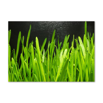 Grass 1 Piece Wrapped Canvas Wall Art