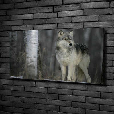 Grey Wolf - Wrapped Canvas Print