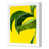 White Single Picture Framed selected