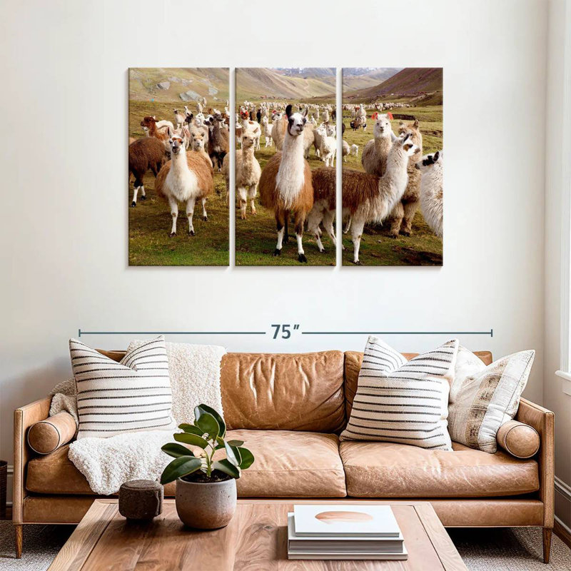 Brampt Llamas And Alpacas, 36" H x 57" W