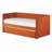 Yelton Daybed with Trundle-887360543