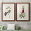 Pretty Pink Botanicals VI - Ensemble de 2 reproductions de cadres photo-1481787813-1481787815