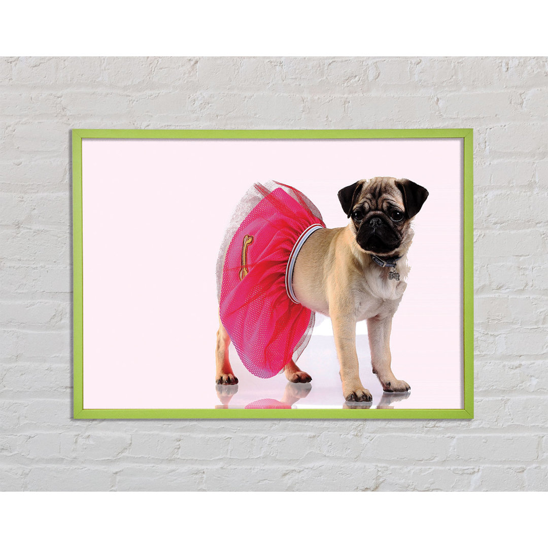 Mops Hund Tutu - Druck