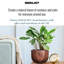Idealist Geometry Style Bronze Round Planter, Indoor Plant Pot For Indoor Plants D23 H17 Cm, 7L