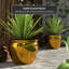 Medallion Urn-347584820-347584819