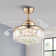 Houstyn Dimmable Crystal Ceiling Fan with LED Lights and Remote Control