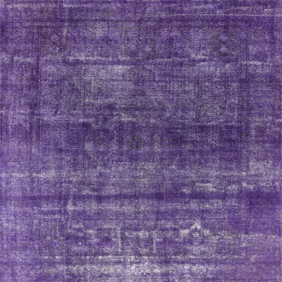 Oriental Indoor Rug