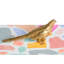 Boîte décorative Pheasant