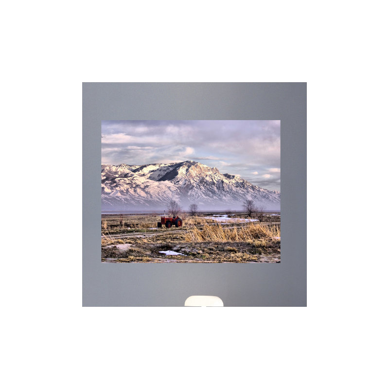 Batie Non-Wall Damaging Wall Decal, 28.5" H x 36" W