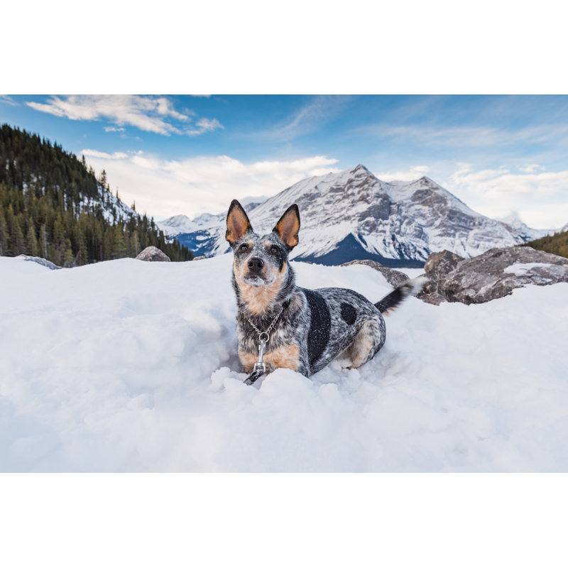 Encino Winter In The Mountains - Wrapped Canvas Print, 30cm H x 46cm W x 3.8cm D