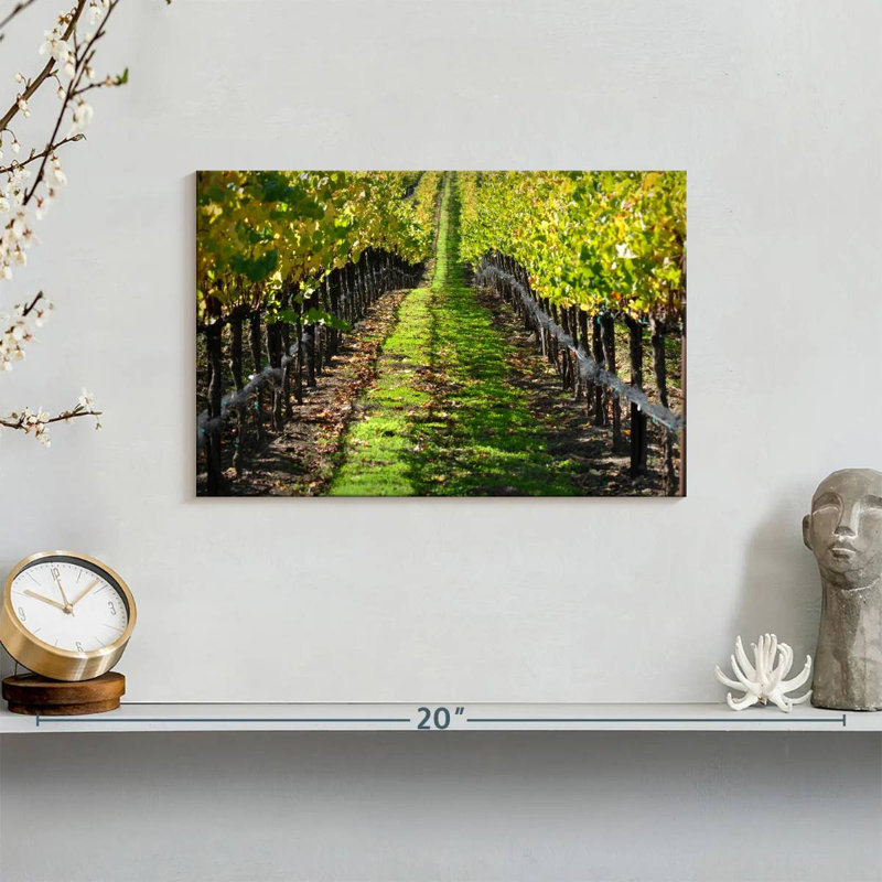 Yarlin Napa Valley Vineyard, H 8 po x l 12 po