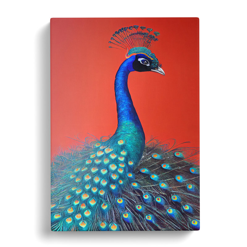 Extraordinary Peacock - Wrapped Canvas, 76cm H x 50cm W x 3cm D