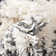 Knupp Abstract Indoor Rug