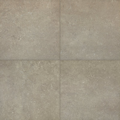Daltile Courier 24 x 24 Colorbody Porcelain Paver Tile w/StepWise Technology (2 PCS Per Carton) (7.60 SQFT Per Carton)