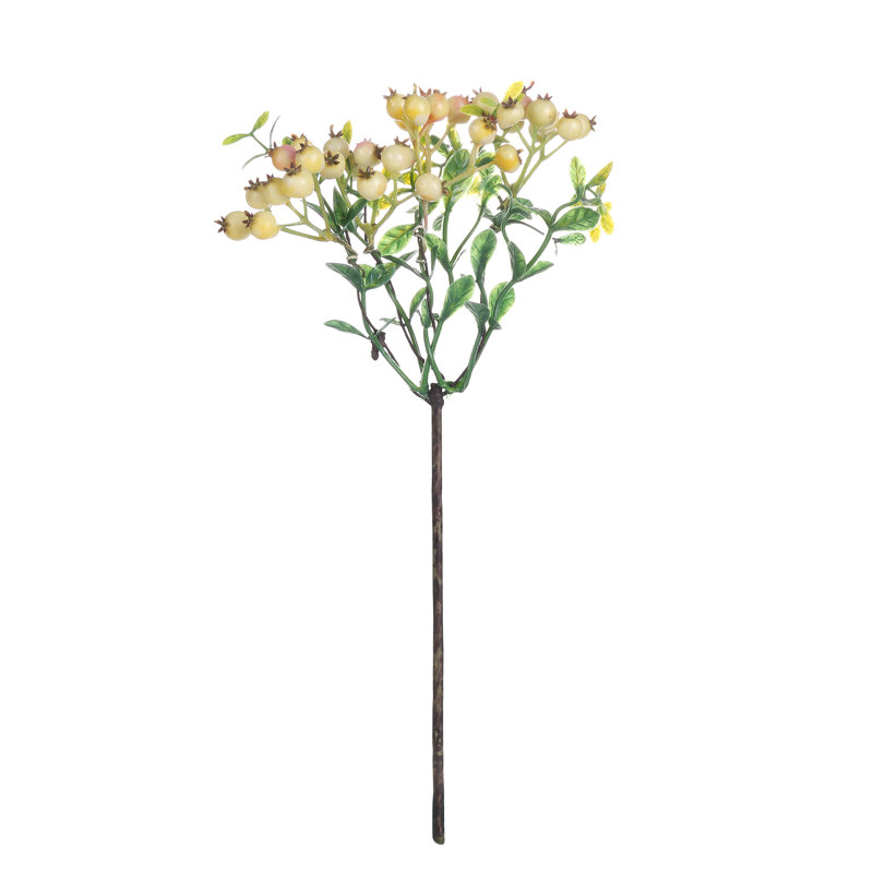 Berry Stems, White
