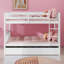 Bunk Bed Including Trundle, Ladder, Guardrails-1797303201
