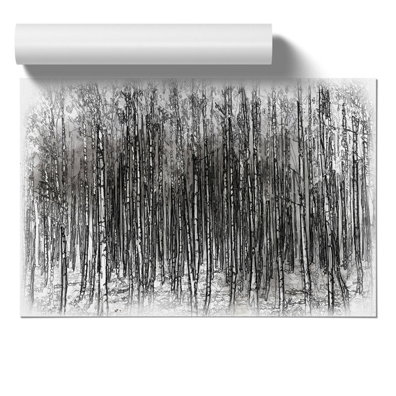 Birch Tree Forest Sketch - Frameless Print, 30cm H x 42cm W x 0.1cm D