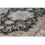 Wool Oriental Area Rug in Black/Light Green/Pink
