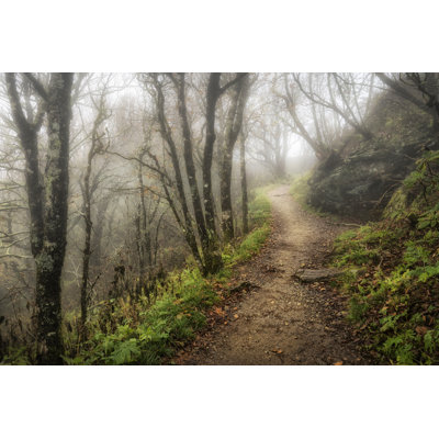 Narrow Path by Danny Head - Photograph Print