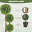 90cm Tree