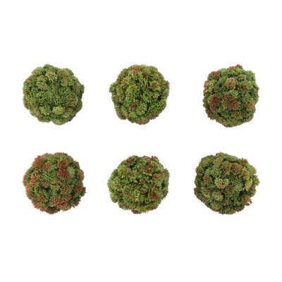 Decorative Sedum Balls (Set of 6)