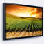« crépuscule vineyard panorama », reproduction de photo sur toile tendue encadrée-26684088