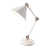 White/Polished nickel
