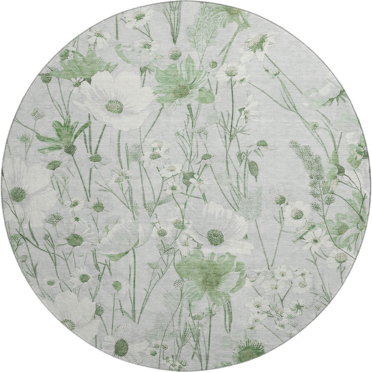 Premium Machine Washable Elize AMF1500 Floral Rug