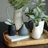 3 Piece Iconic Fluted Vases 