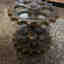 Customer photo 3 of 3