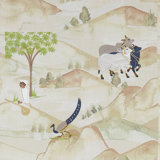 Sahara Fabric