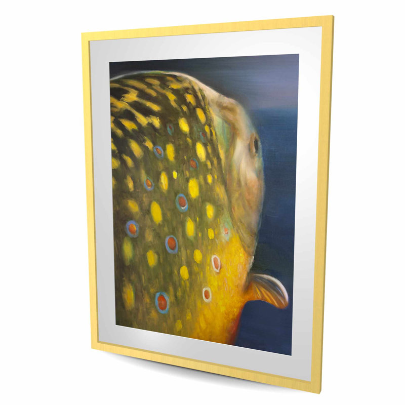 Golden Trout Fish Print | Aquatic Animals Home Decor Art