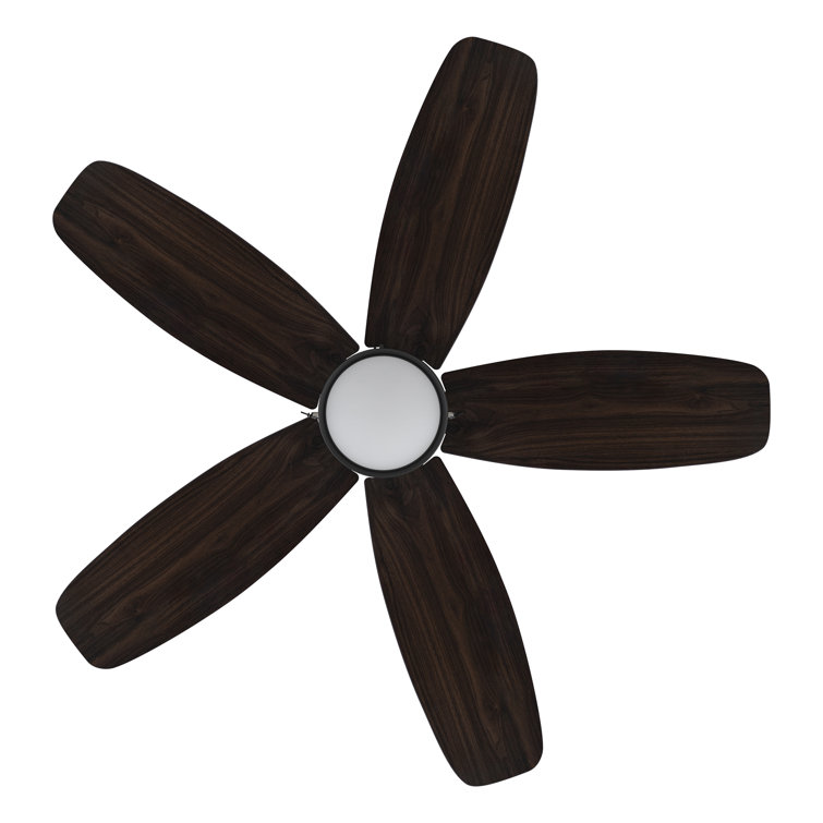52'' Ceiling Fan with LED Lights
