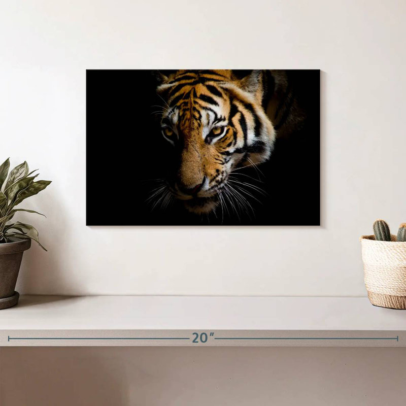 Brampt Sumatran Tiger, 8" H x 12" W