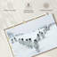 Mouton d'hiver Brampt-108822669