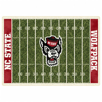 Indoor Rug