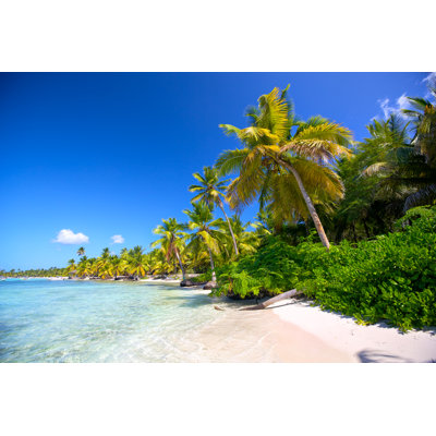 Caribbean Beach by Dibrova - Wrapped Canvas Print
