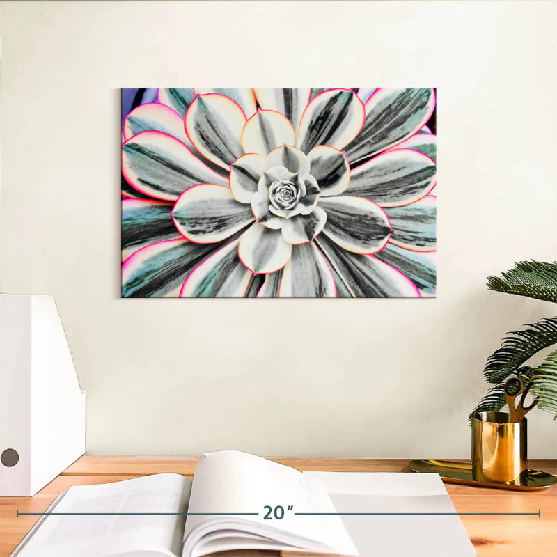 Succulent fluorescent Harnek, H 8 po x l 12 po