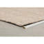 Briton Geometric Area Rug in Beige