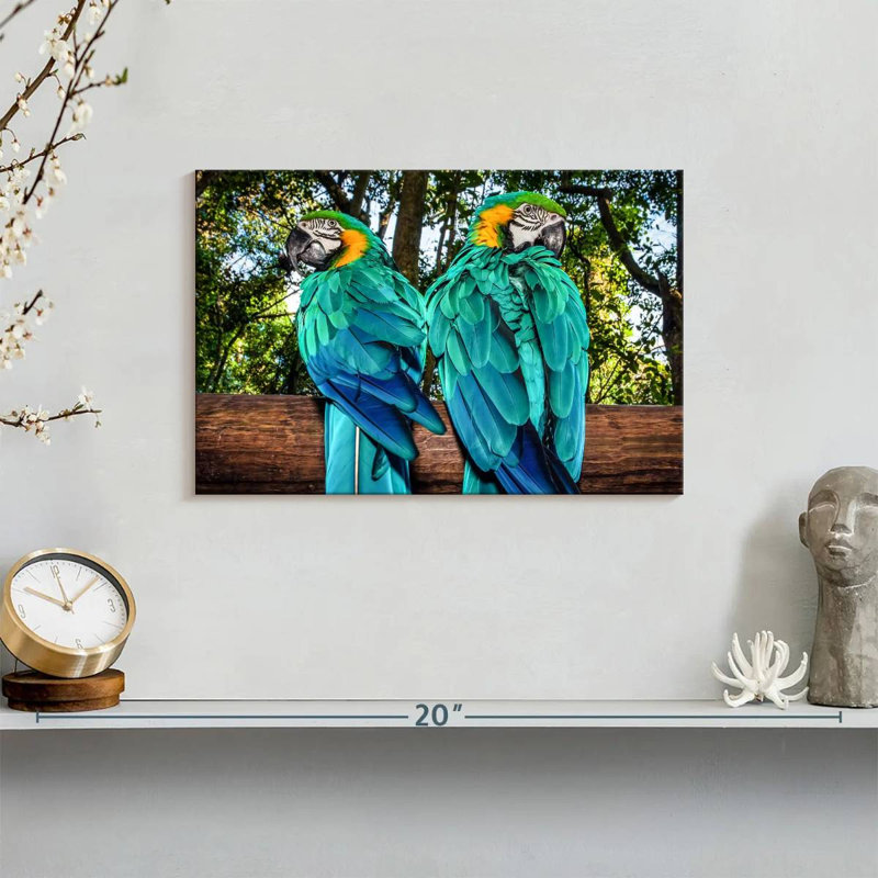 Brampt Macaw Parrots, 8" H x 12" W