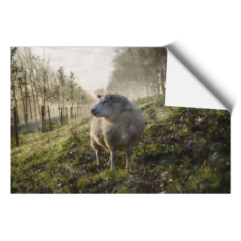 Woolly Sheep - No Frame Print, 21cm H x 30cm W x 0.1cm D